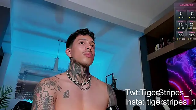 TigerStripes1  online show from 02/12/25, 12:05