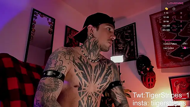 TigerStripes1  online show from 03/27/26, 10:27