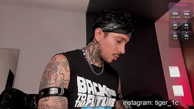 TigerStripes1  online show from 12/11/24, 11:54