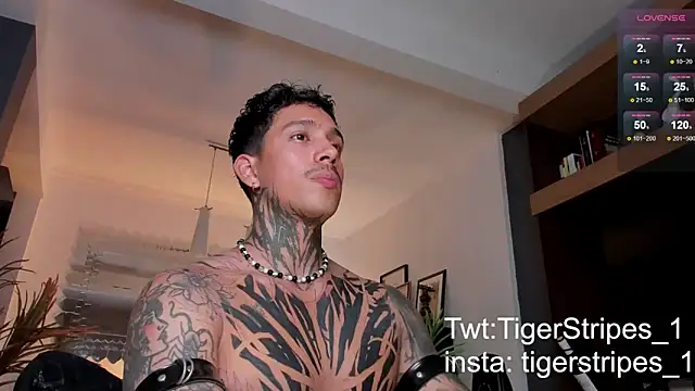 TigerStripes1  online show from 02/22/25, 01:11