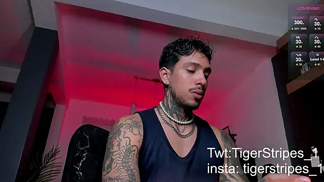 TigerStripes1  online show from 02/09/25, 05:40