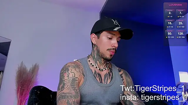 TigerStripes1  online show from 03/19/25, 12:59