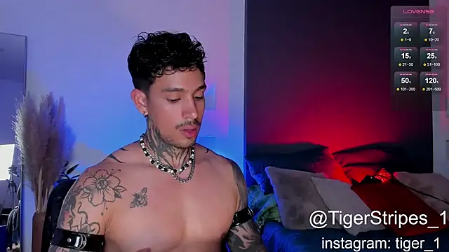 TigerStripes1  online show from 02/02/25, 10:28