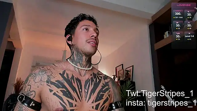 TigerStripes1  online show from 02/24/25, 11:19