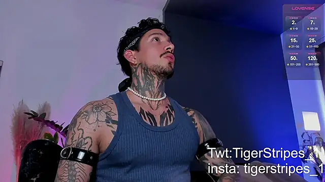 TigerStripes1  online show from 03/19/25, 08:54