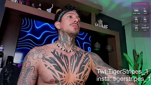 TigerStripes1  online show from 03/09/25, 12:31