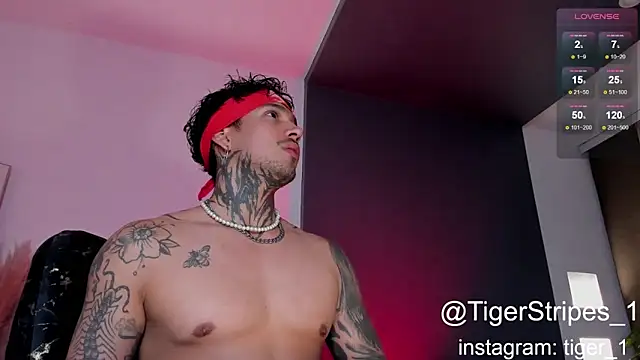 TigerStripes1  online show from 01/16/25, 01:48