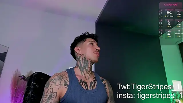 TigerStripes1  online show from 03/20/25, 11:56