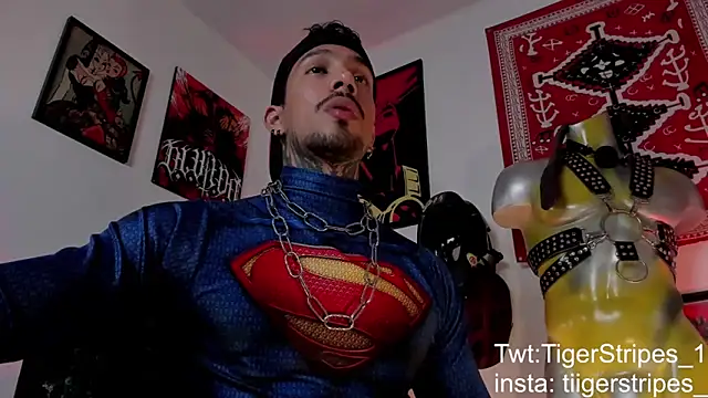 TigerStripes1  online show from 03/21/26, 04:57