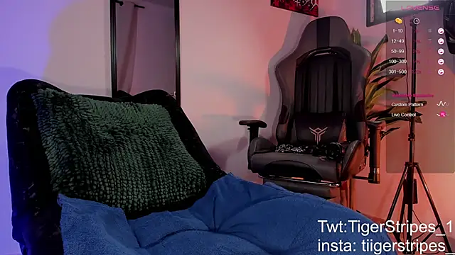 TigerStripes1  online show from 03/28/26, 11:33