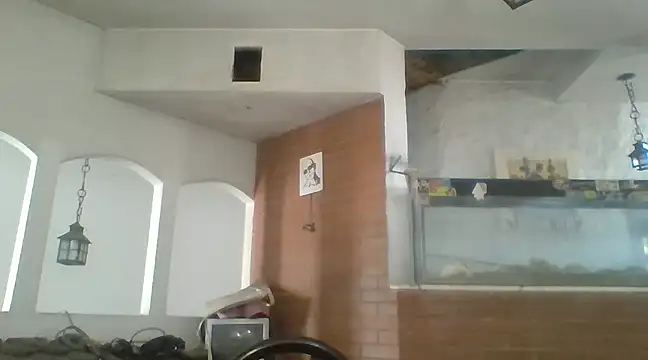 Snapshot of Stevenson988 chatting on 02/06/25, 07:07 Stevenson988 online show from 02/06/25, 07:07