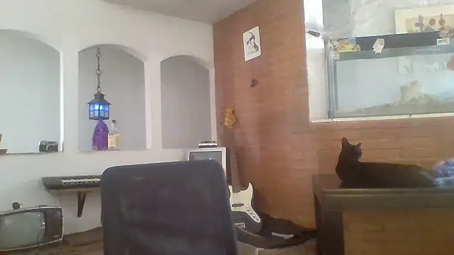 Stevenson988 online show from 01/14/26, 06:00