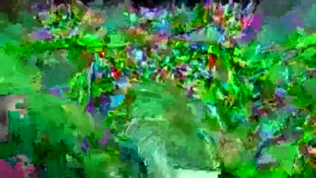 bigdon5169 online show from 05/01/26, 02:55
