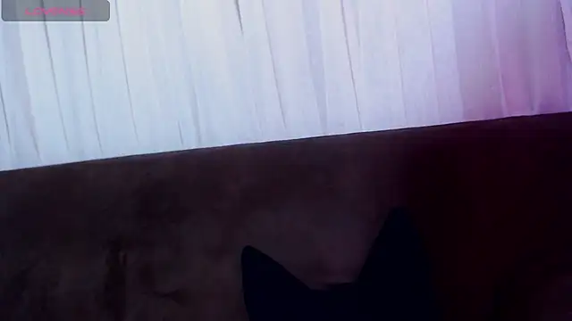 AlissonnFoxx online show from 06/02/26, 12:21
