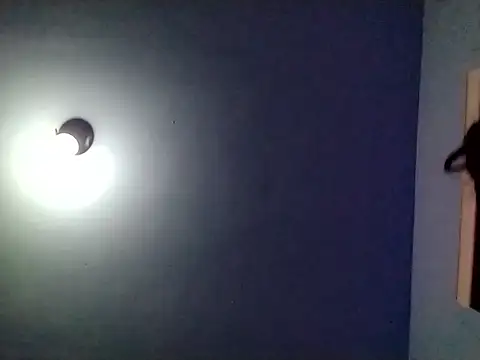 Snapshot of petiteDollface chatting on 02/02/25, 04:48 petiteDollface online show from 02/02/25, 04:48