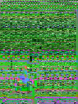 kvr27 online show from 07/12/26, 01:34