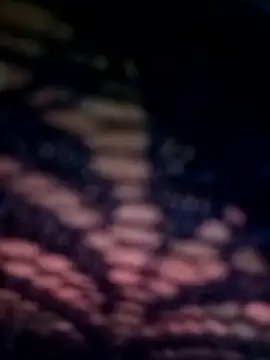 09punjabi online show from 03/13/25, 02:44