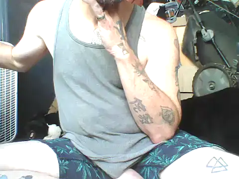 KittyDaemon online show from 05/29/26, 10:05