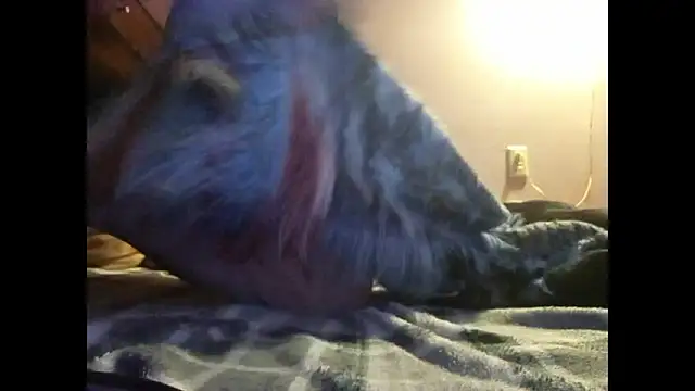 KittyDaemon online show from 12/15/24, 04:15