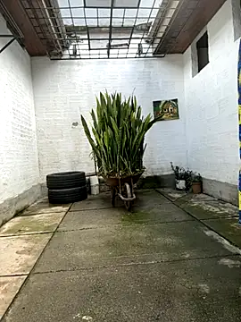 oliver price1 online show from 10/27/25, 07:26