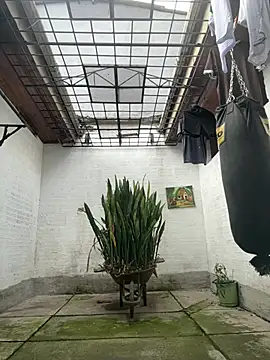 oliver price1 online show from 02/17/26, 02:58