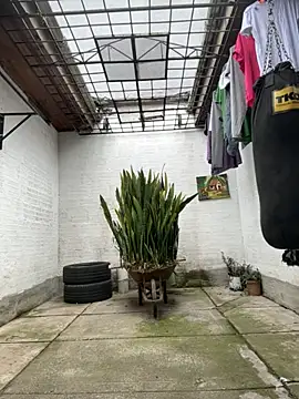 oliver price1 online show from 10/29/25, 07:35