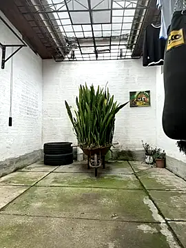 oliver price1 online show from 11/15/25, 06:45