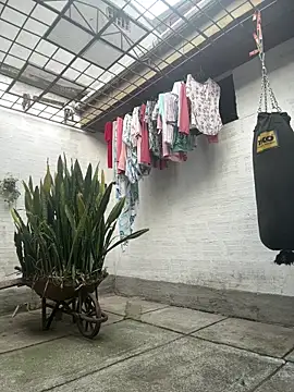 oliver price1 online show from 03/28/26, 09:38