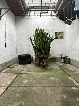 oliver price1 online show from 11/13/25, 09:19