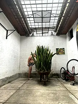 oliver price1 online show from 10/08/25, 04:29