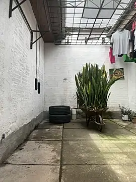 oliver price1 online show from 10/25/25, 04:29