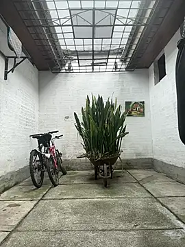 oliver price1 online show from 03/23/26, 06:52