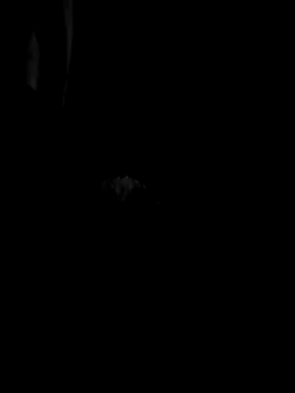 Bernardo085 online show from 04/12/26, 04:16