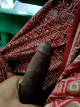 Kolkata   Boy online show from 01/11/26, 03:24